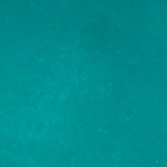 Meet your Posher, Sabrina - Picture 1 of 1